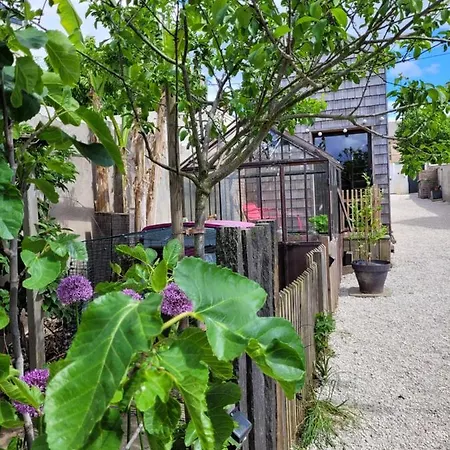 Tiny House Cosy 1 - Apartment *