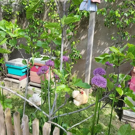 Apartment Tiny House Cosy 1 - *